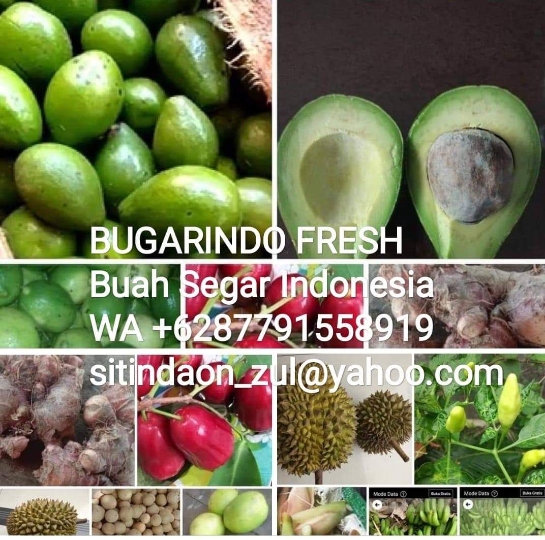 FB IMG 1612496272074