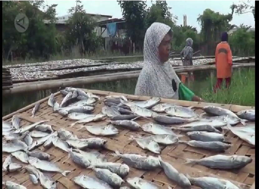 Screenshot 20190618 200658