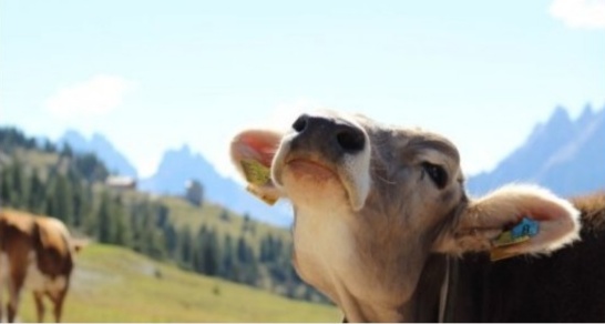 Screenshot 20191220 161953