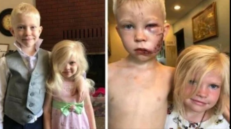 Screenshot 20200721 085100