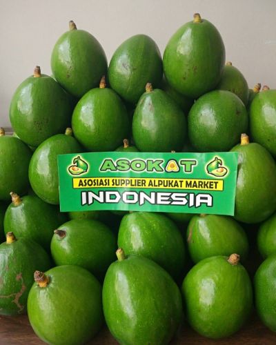 alpukat miki