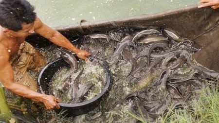 lele 20170206 122434